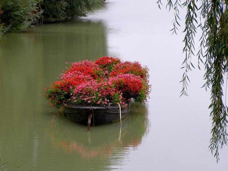Flower-filled Boat