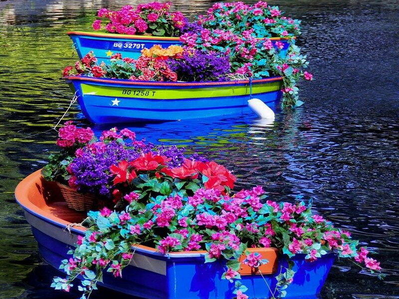 Flower-filled Boats — Blue