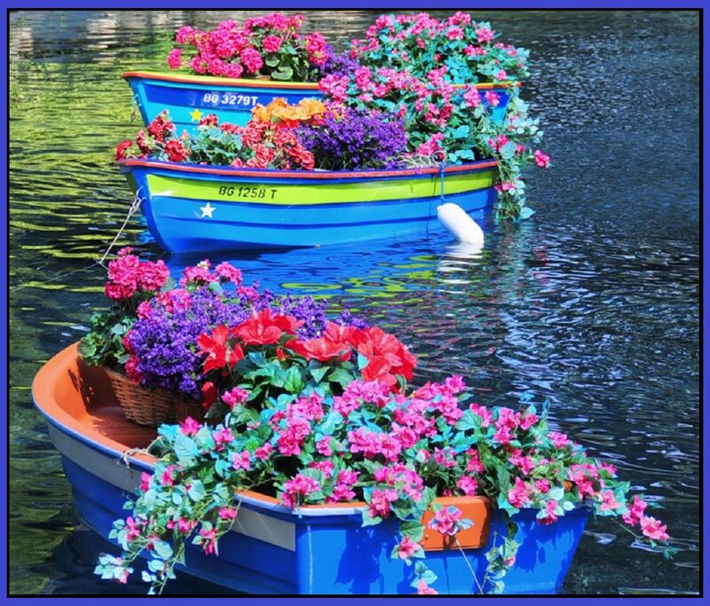 Flower-filled Boats