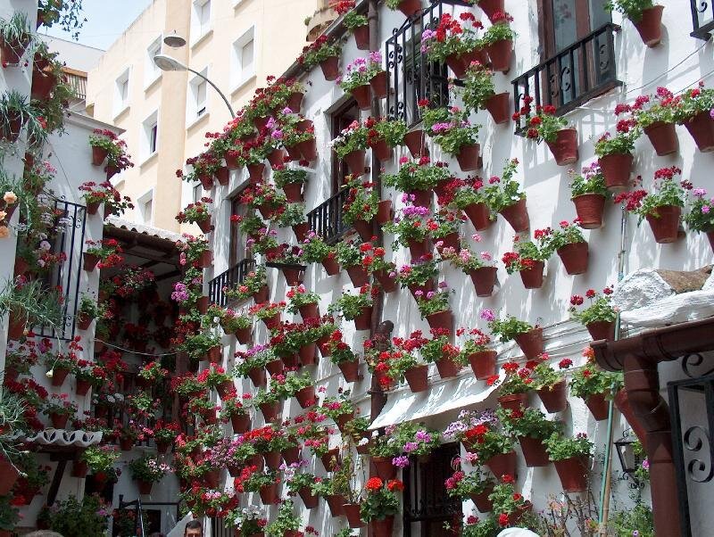 Flower-filled Building Facade — White, Lively
