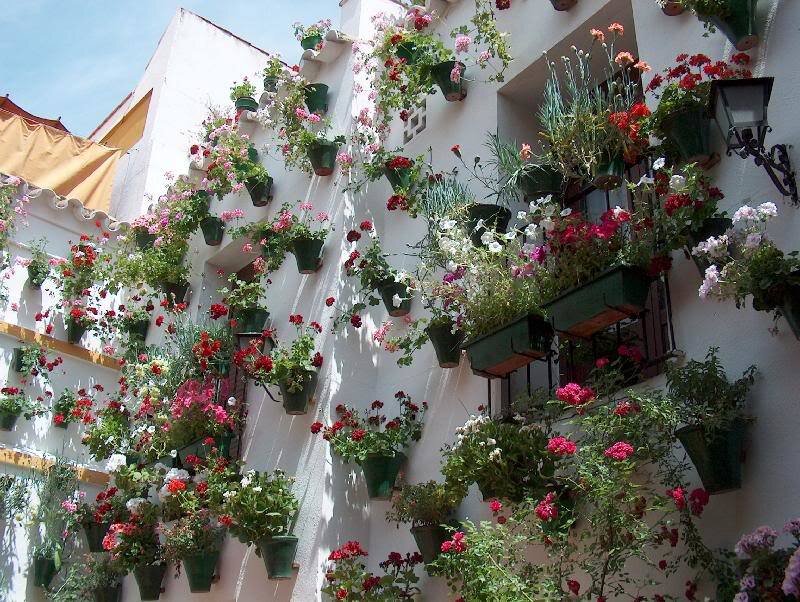 Flower-filled Building Facade — White