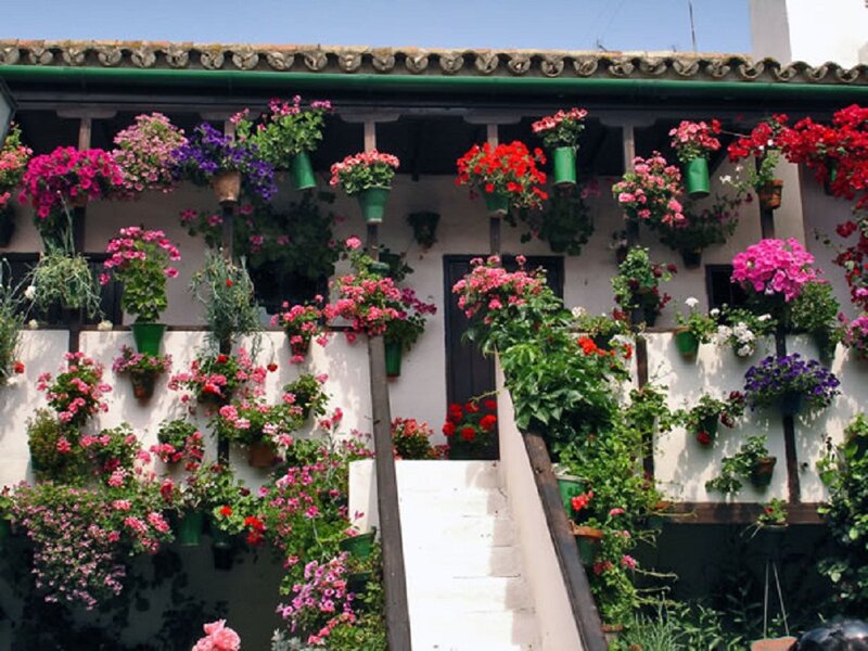 Flower-filled Building Facade — White, Vibrant