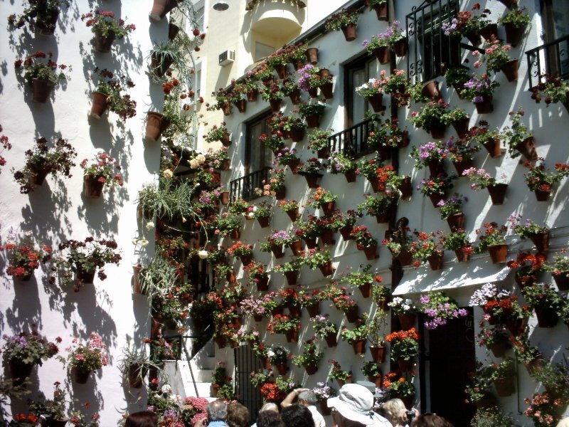 Flower-filled Building Walls