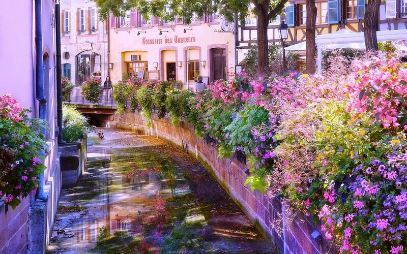 Flower-filled Canal in Town — Pink, Serene