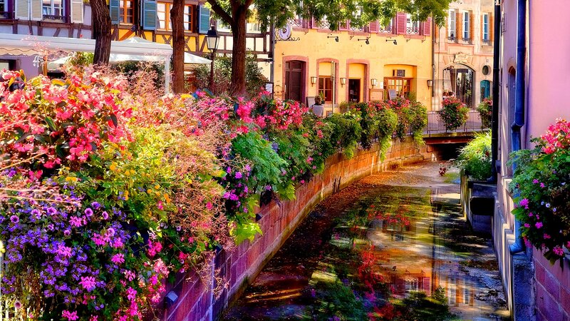 Flower-filled Canal in Town — Pink