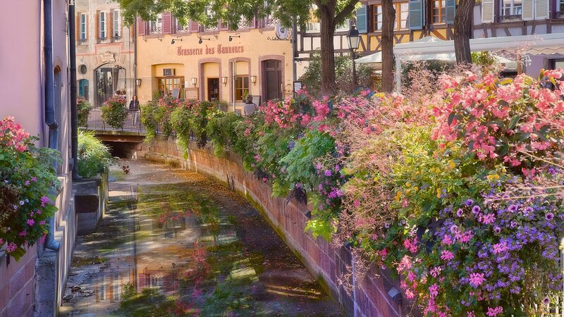 Flower-filled Canal in Town