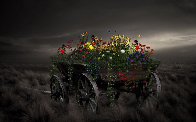 Flower-filled Cart — Black