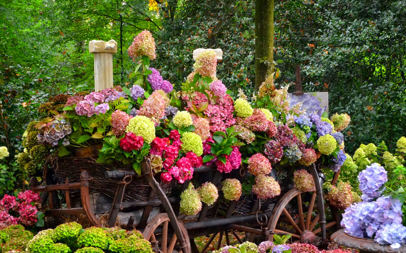 Flower-filled Cart — Green, Serene, Summer