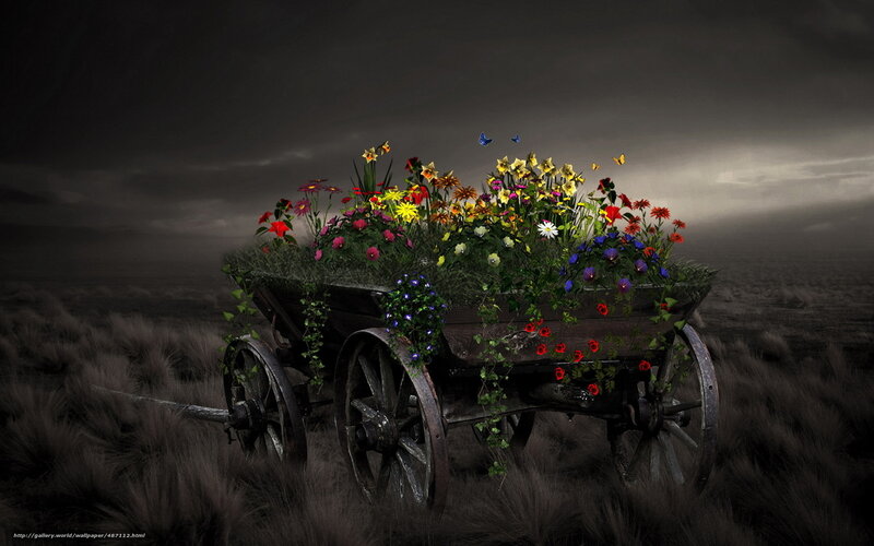 Flower-filled cart in a dark field