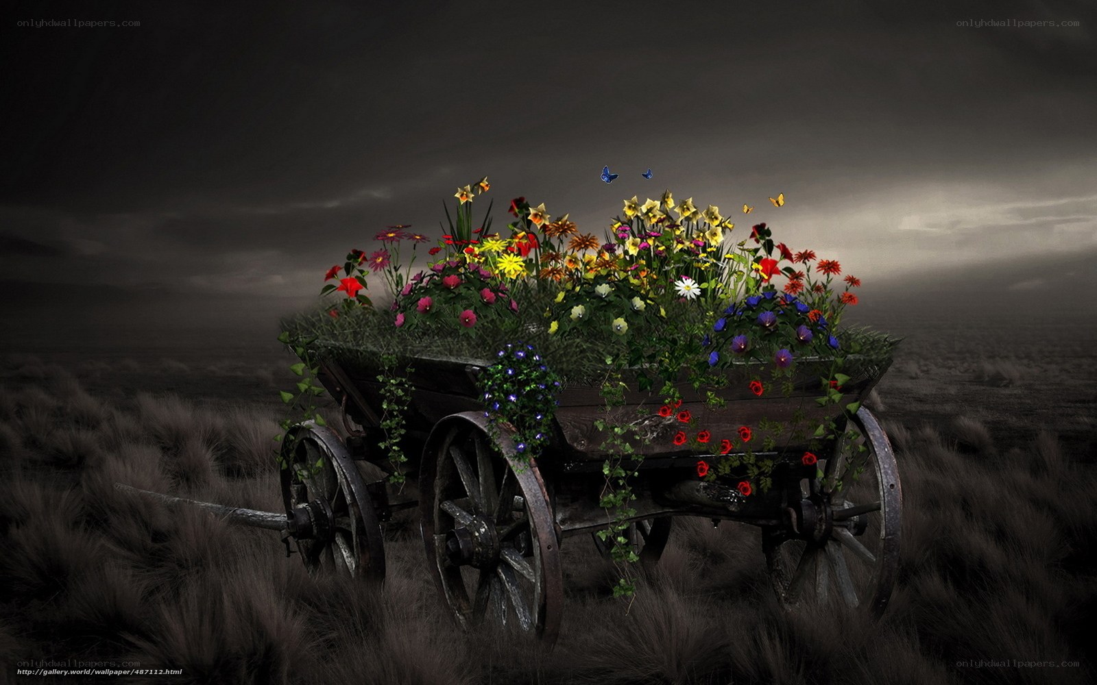 Flower-filled cart in a dark field