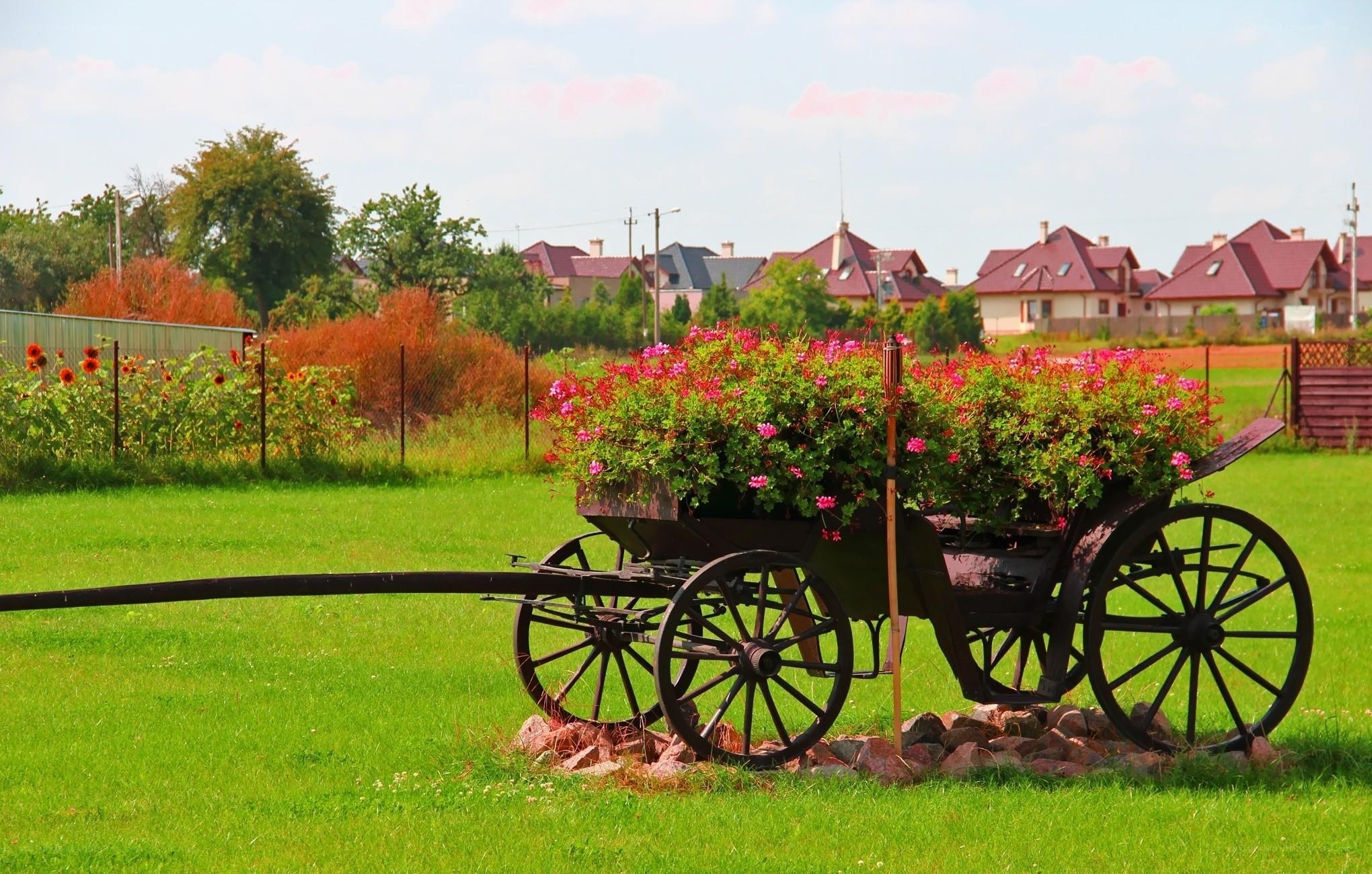 Flower-filled cart in a green field