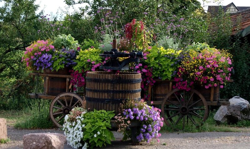 Flower-filled cart in garden