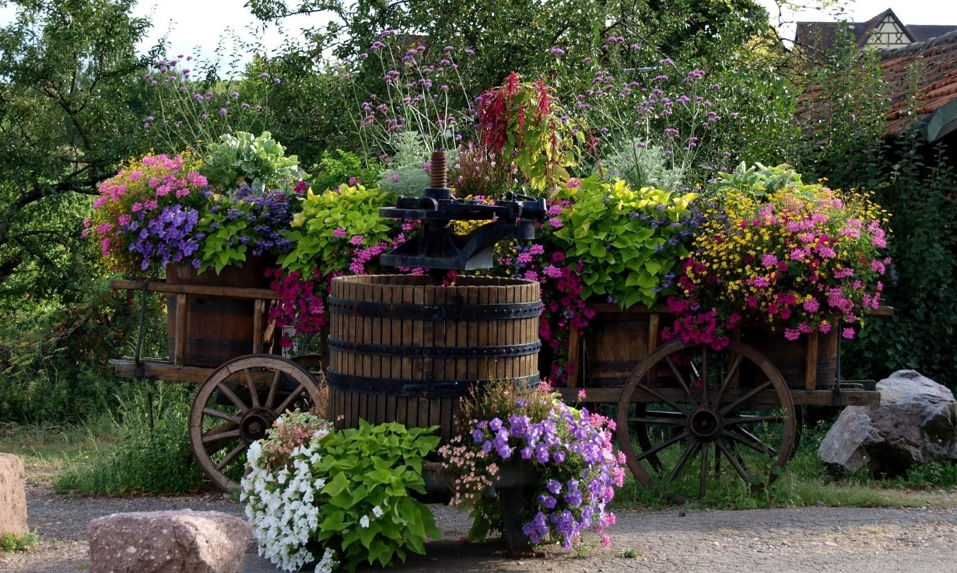 Flower-filled cart in garden