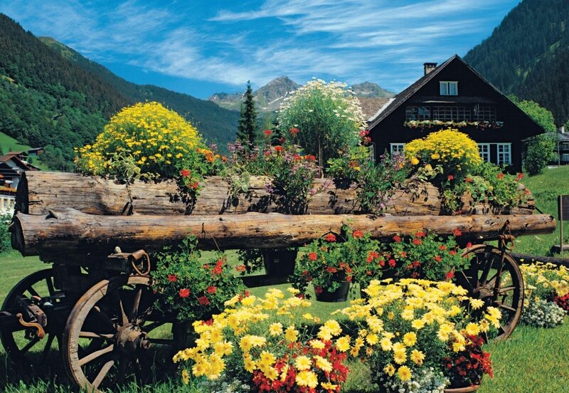 Flower-filled Cart in Mountains