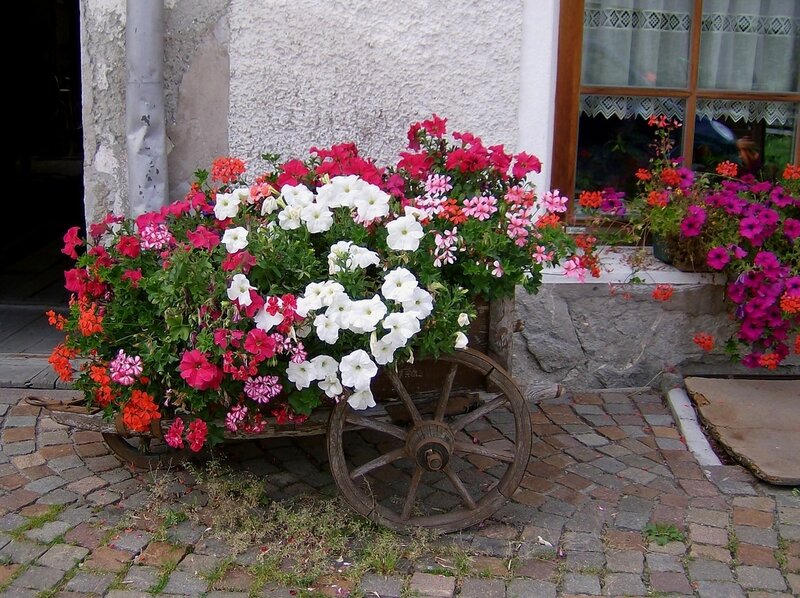 Flower-filled Cart
