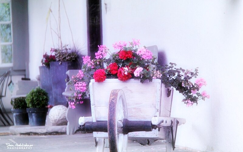 Flower-filled Cart — White