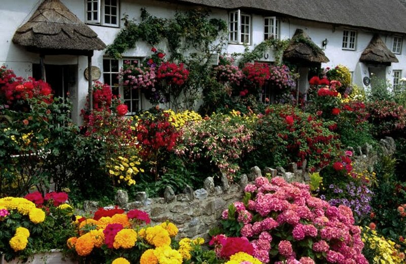 Flower-filled Cottage Garden — Pink