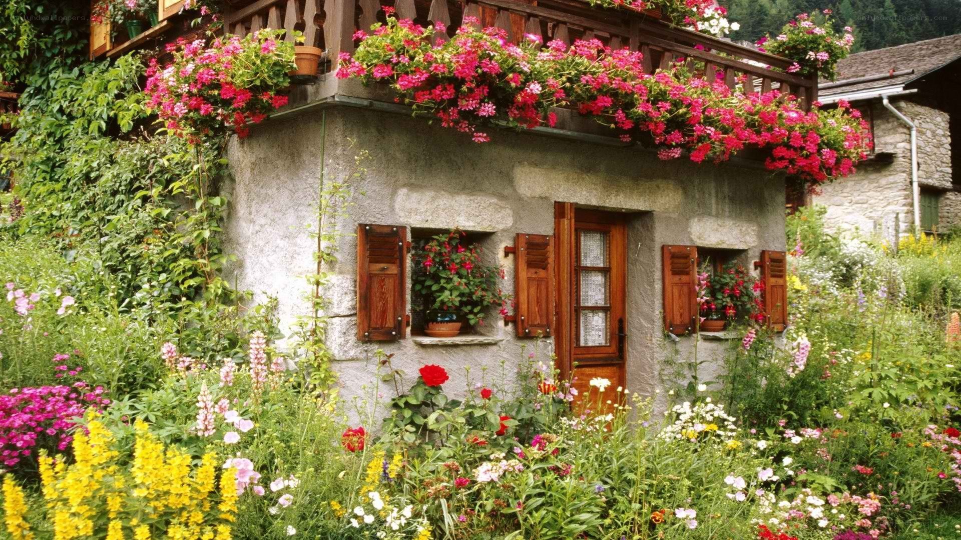 Flower-filled cottage garden