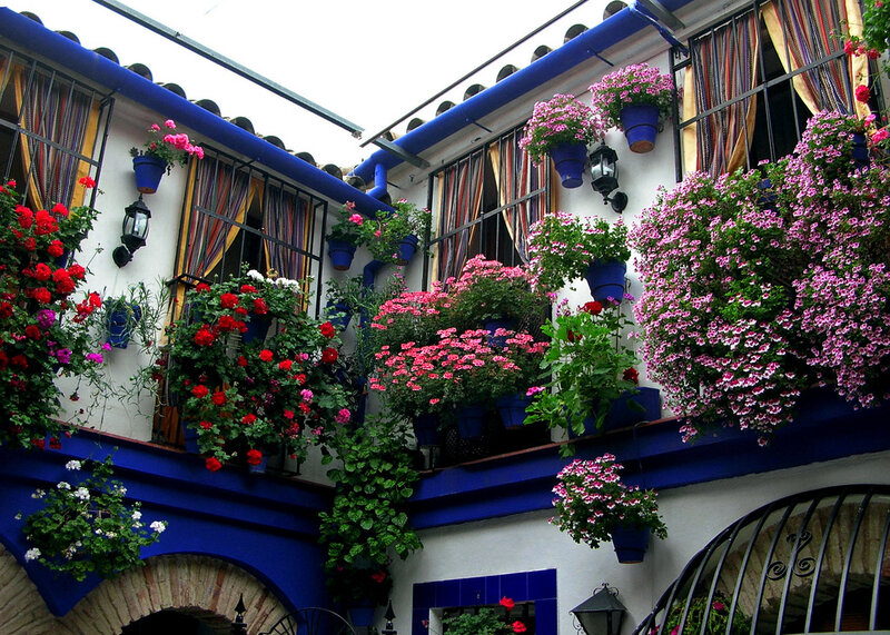 Flower-filled Courtyard — Blue