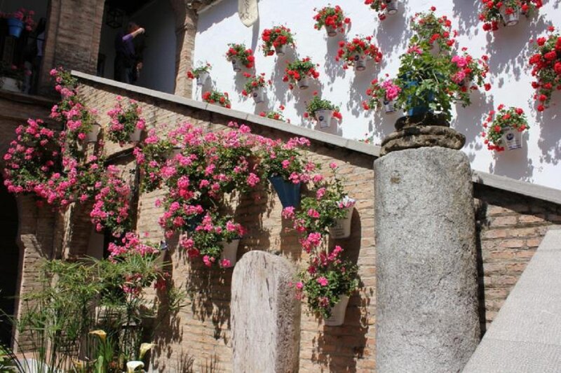 Flower-filled Courtyard — Pink, Serene