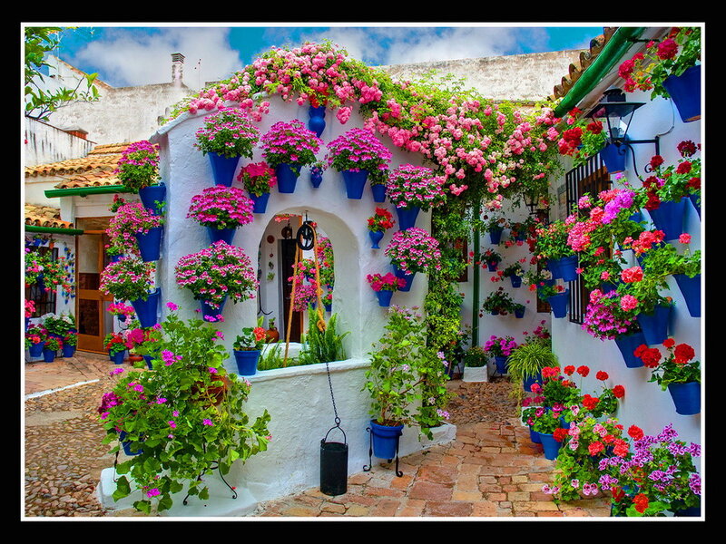 Flower-filled Courtyard — Pink