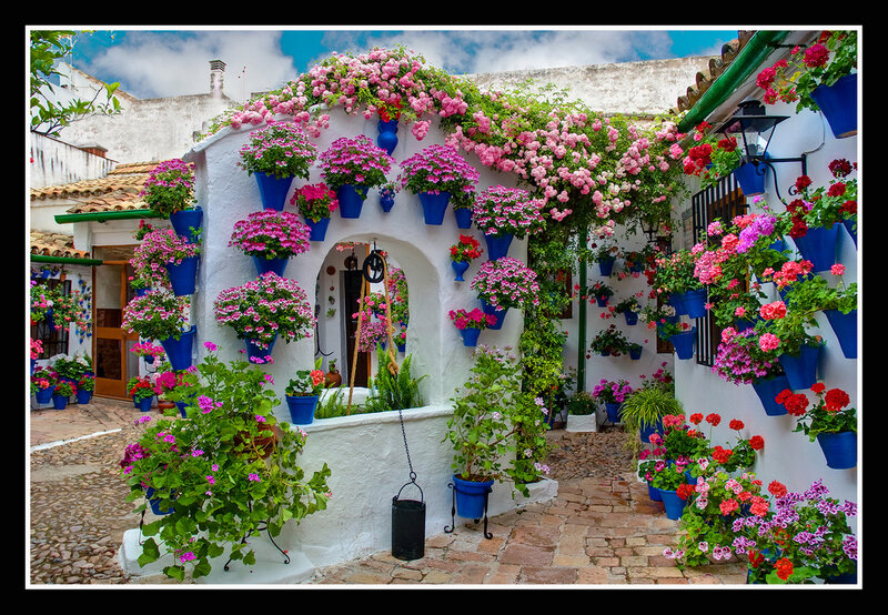 Flower-filled Courtyard