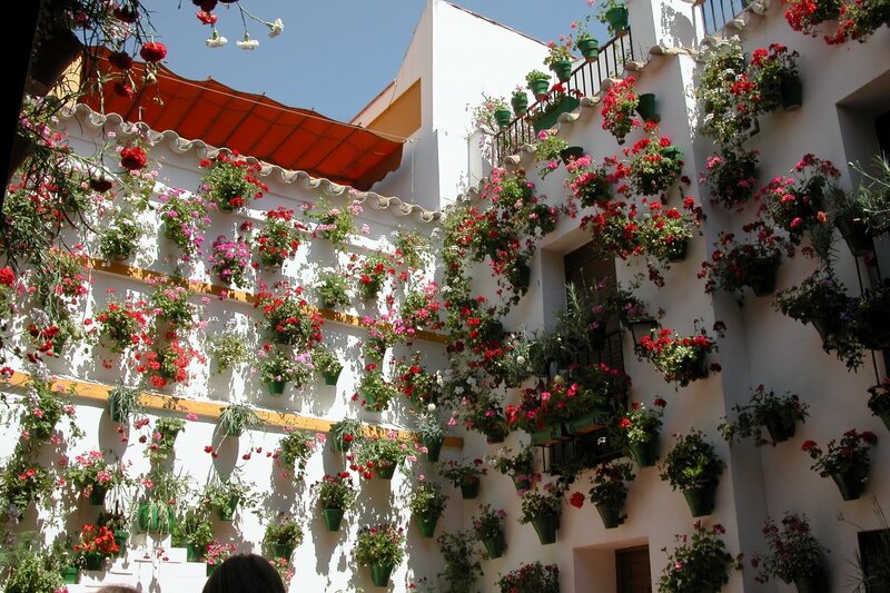 Flower-filled Courtyard — White, Bright