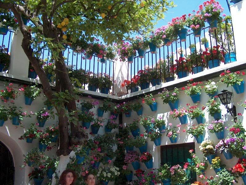 Flower-filled Courtyard — White, Serene, Afternoon