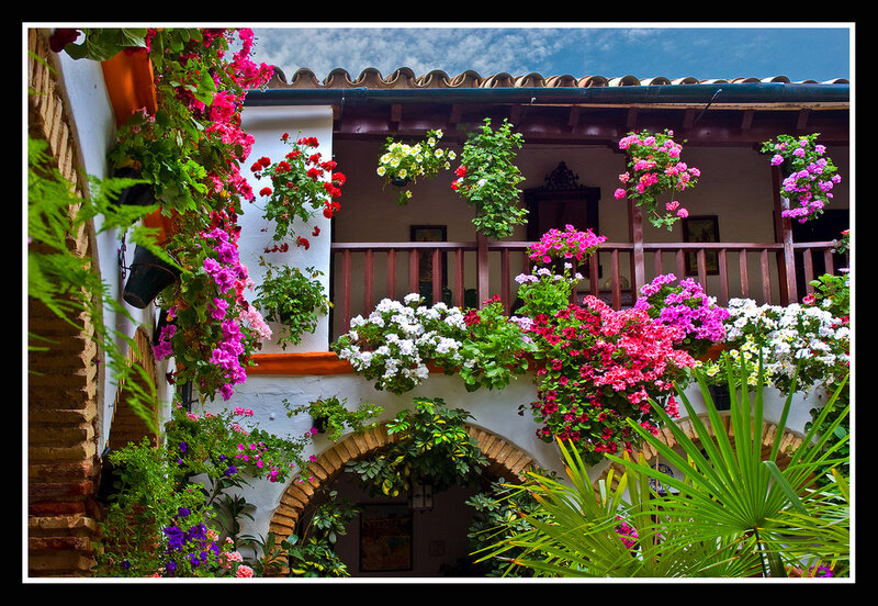 Flower-filled Courtyard — White, Serene