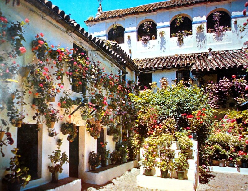 Flower-filled Courtyard — White