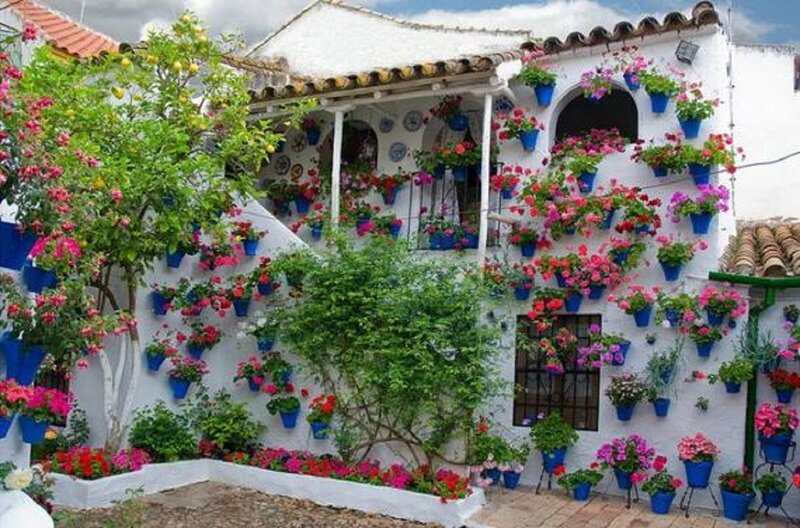 Flower-filled Courtyard — White, Vibrant