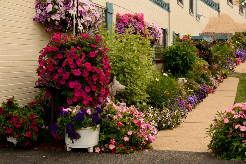 Flower-filled Garden Bed