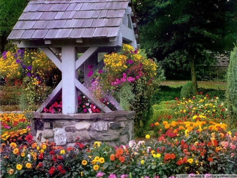 Flower-filled Garden Well