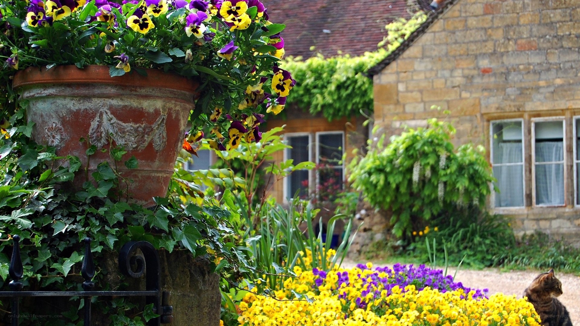 Flower-filled garden with stone cottage