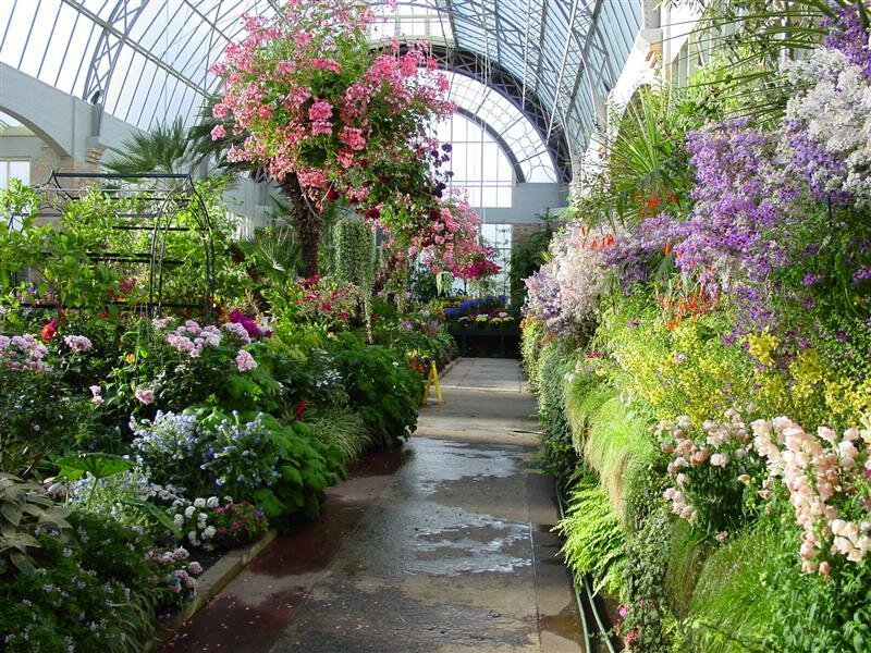 Flower-filled Greenhouse