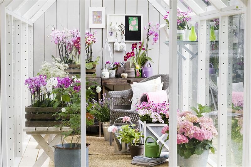 Flower-filled Greenhouse — White