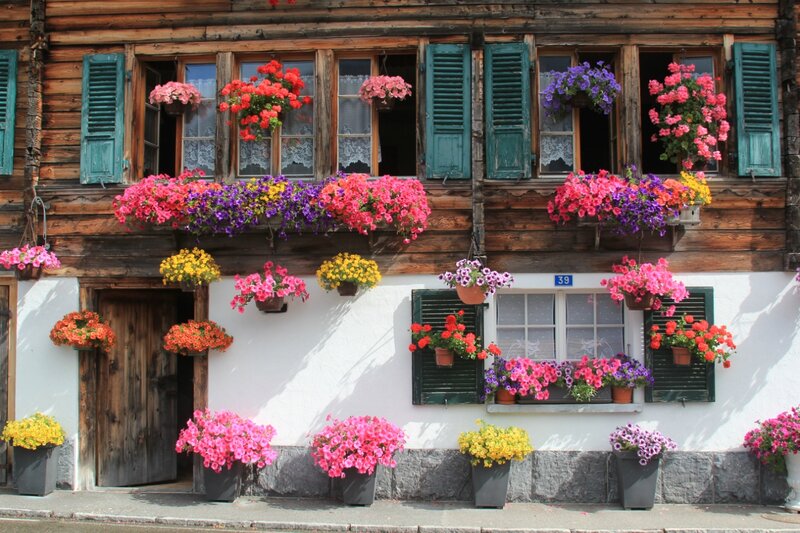 Flower-filled House Facade — Pink