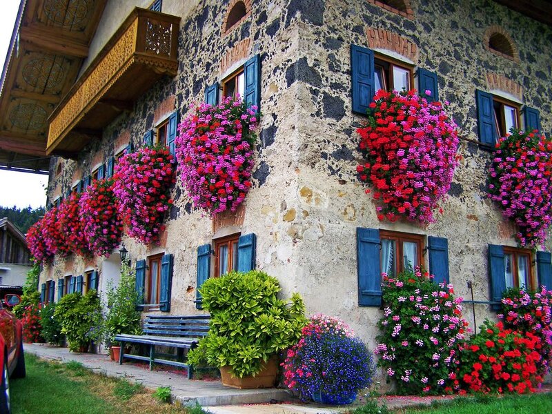 Flower-filled House Facade — Red