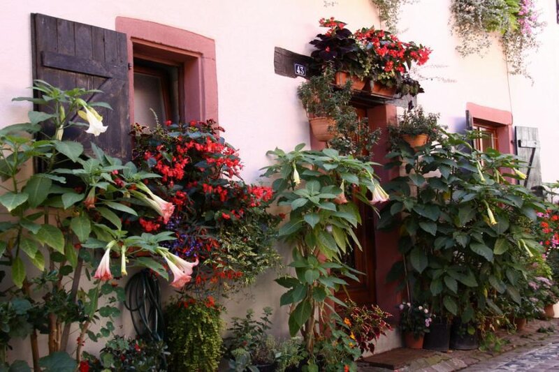 Flower-filled House Facade