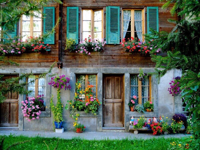 Flower-filled House — Green, Serene