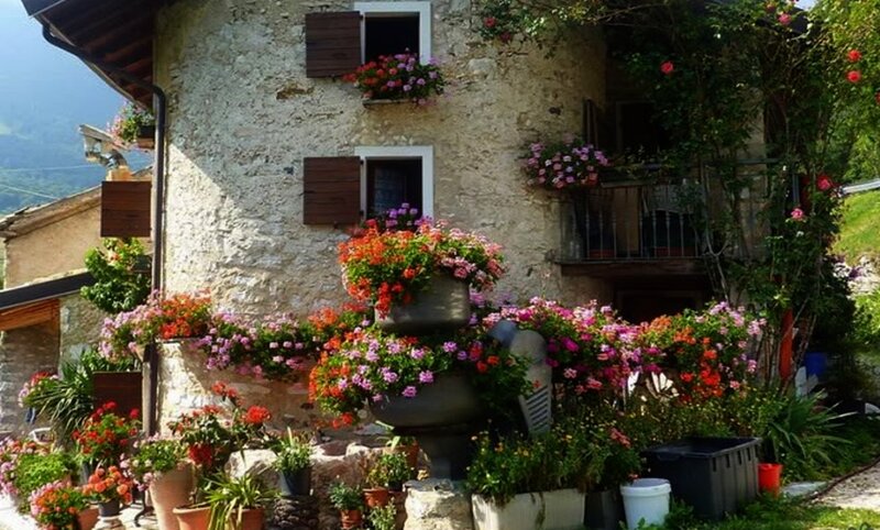 Flower-filled House