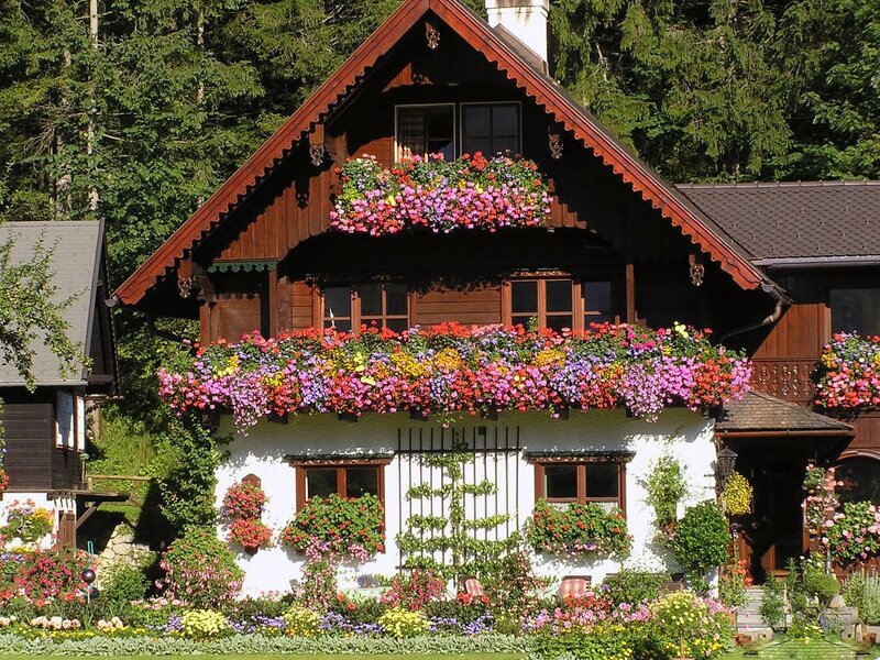 Flower-filled House — White