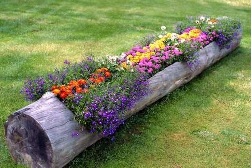 Flower-filled Log Planter — Green, Calm