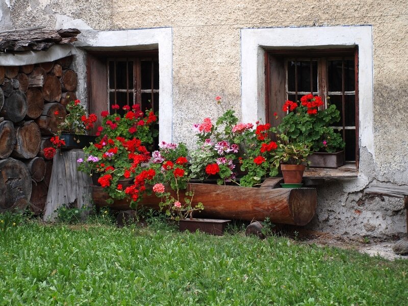Flower-filled Log Planter