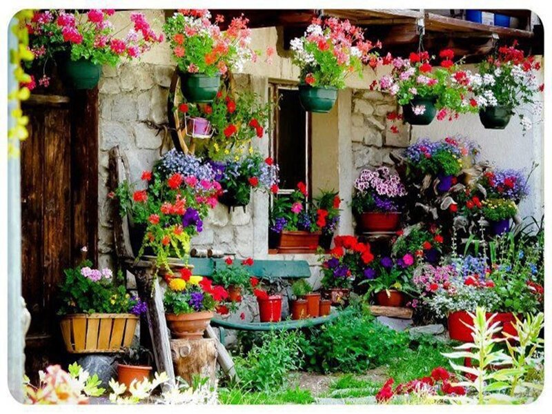 Flower-filled Porch — Green, Colorful