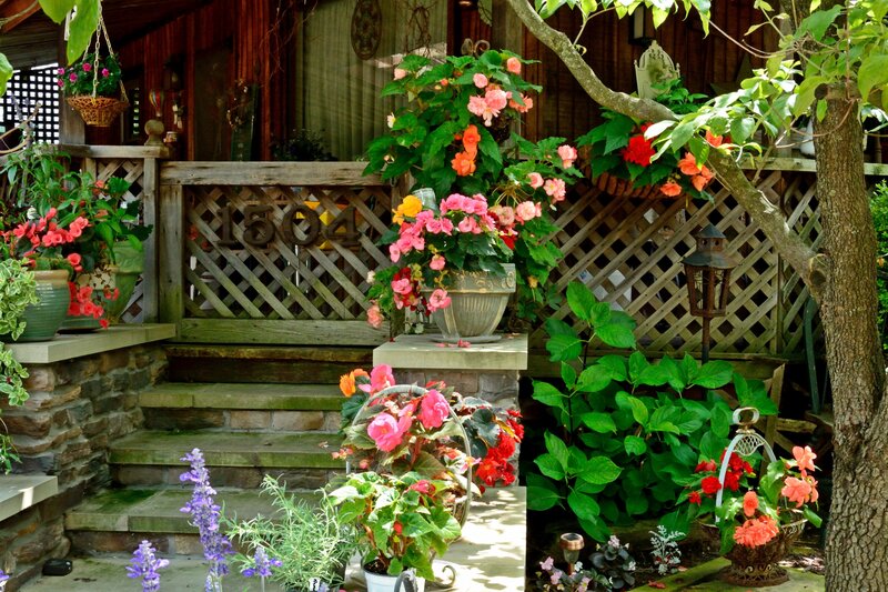 Flower-filled Porch — Green, Serene, Afternoon, Photograph