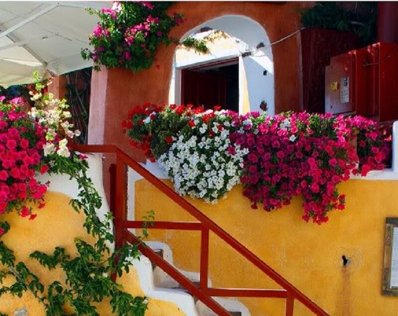 Flower-filled Staircase