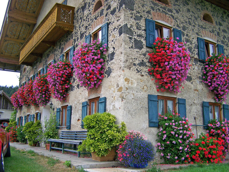 Flower-filled Stone House