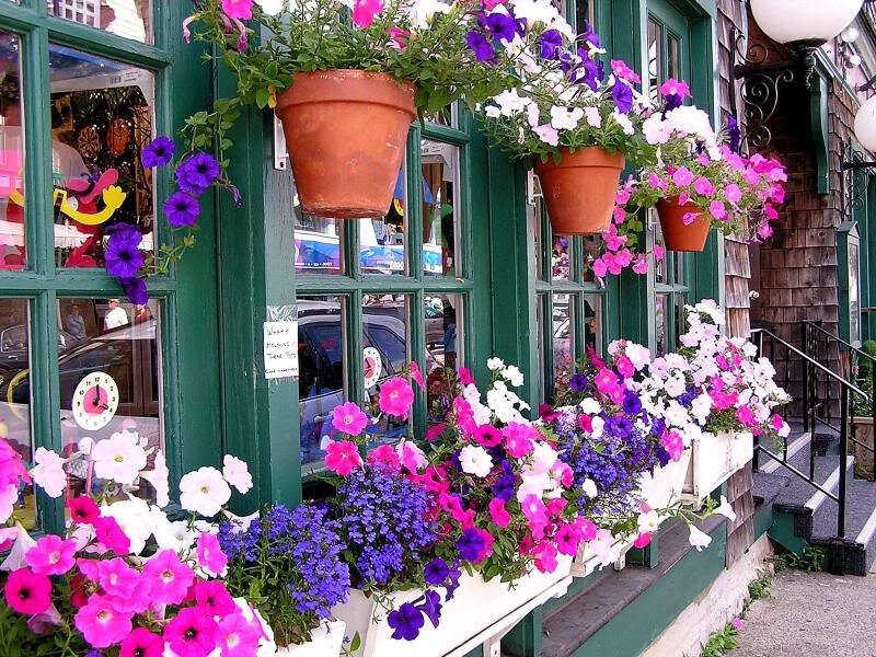 Flower-filled Storefront
