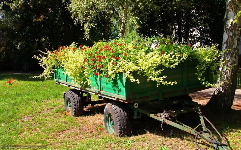Flower-filled trailer in park